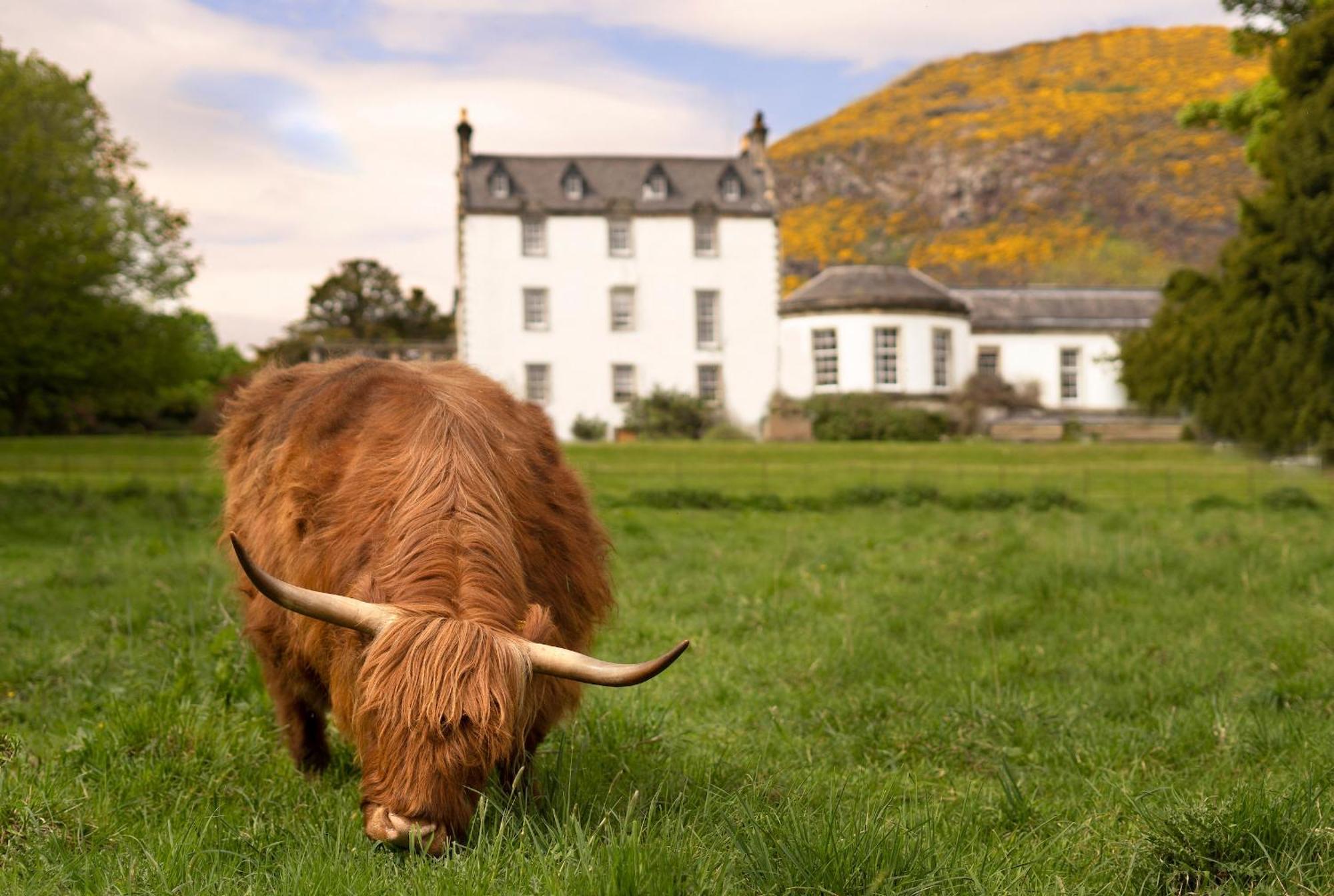 Prestonfield House — Photos 1